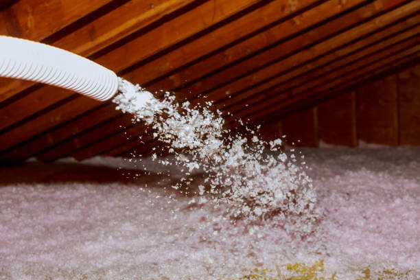 Best Commercial Insulation in Seymour, TX