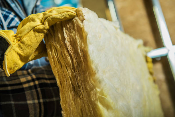 Best Cellulose Insulation in Seymour, TX